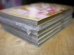 Alice 19th 7 เล่มจบ (ขาดเล่ม 6) รูปที่ 4