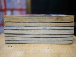 B.M.N. ศึกโจ๋จ้าวสังเวียน เล่ม 1-7 รูปที่ 4