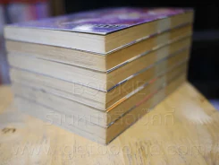 ปิ๊งรักสาวนักพากย์ 6 เล่มจบ รูปที่ 4