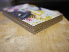เจ้าหญิงแห่งสนธยา 2 เล่มจบ รูปที่ 5