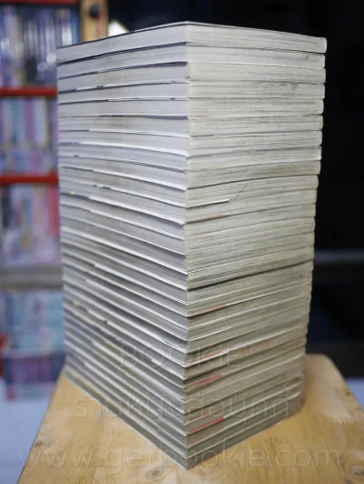 หนุ่มหล่อเฟี้ยวแปลงโฉมสาว 36 เล่มจบ (ขาดเล่ม 31-36) รูปที่ 5