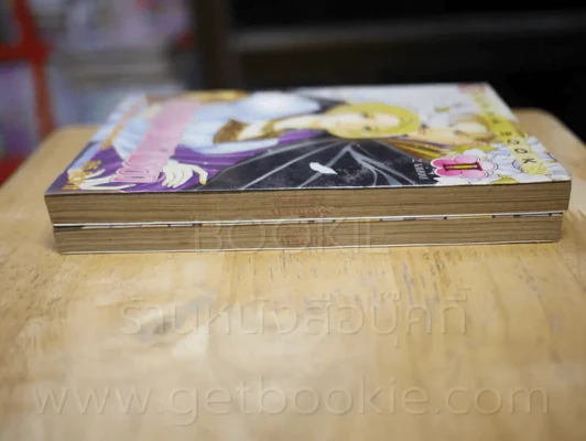 เจ้าหญิงแห่งสนธยา 2 เล่มจบ รูปที่ 3