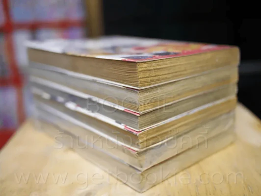 นักสืบเมียแสบ 6 เล่มจบ รูปที่ 5