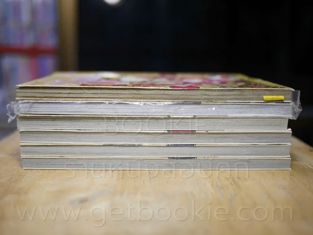 Alice 19th 7 เล่มจบ (ขาดเล่ม 6) รูปที่ 3