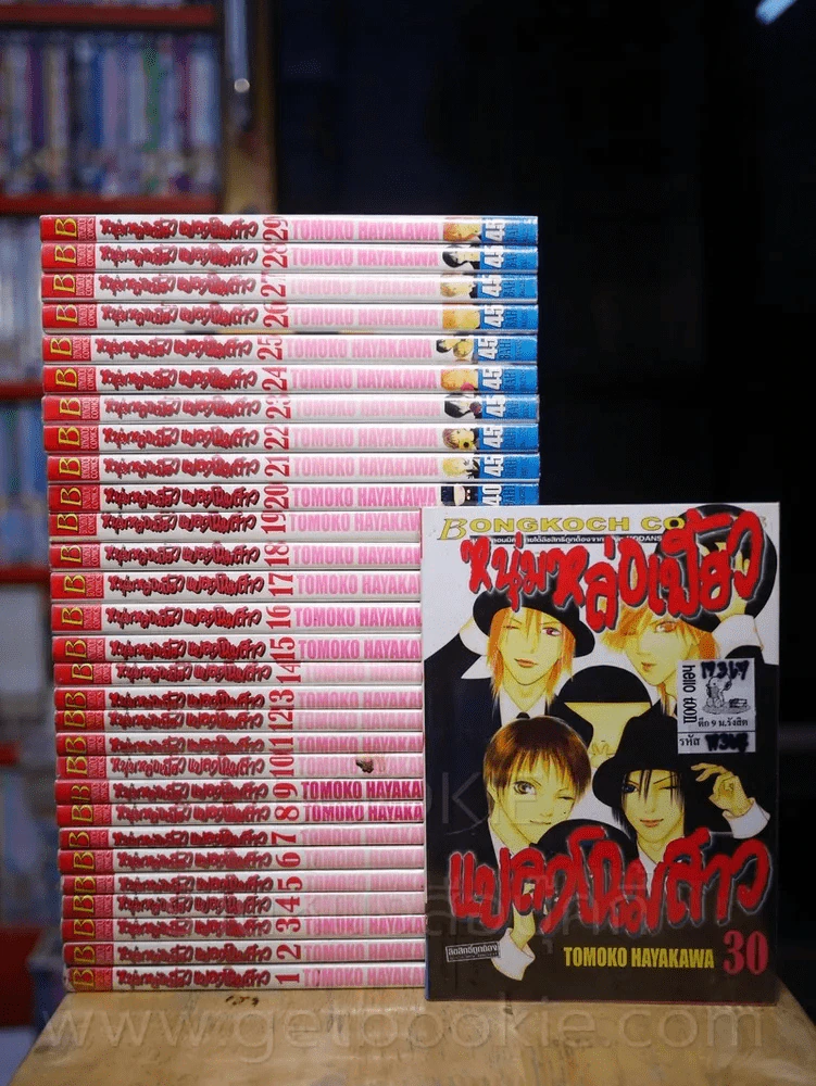 หนุ่มหล่อเฟี้ยวแปลงโฉมสาว 36 เล่มจบ (ขาดเล่ม 31-36) รูปที่ 1