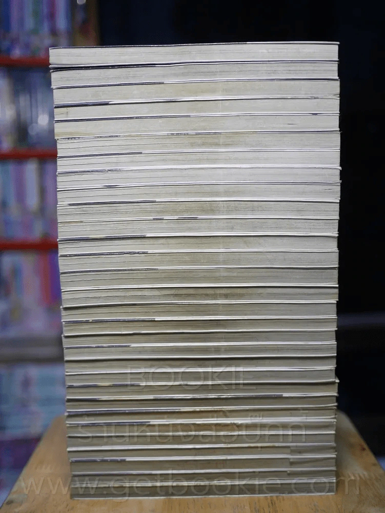 หนุ่มหล่อเฟี้ยวแปลงโฉมสาว 36 เล่มจบ (ขาดเล่ม 31-36) รูปที่ 3