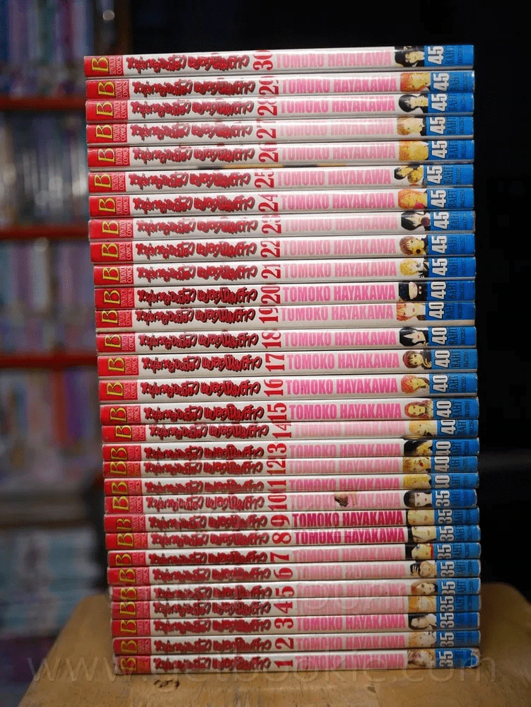 หนุ่มหล่อเฟี้ยวแปลงโฉมสาว 36 เล่มจบ (ขาดเล่ม 31-36) รูปที่ 2