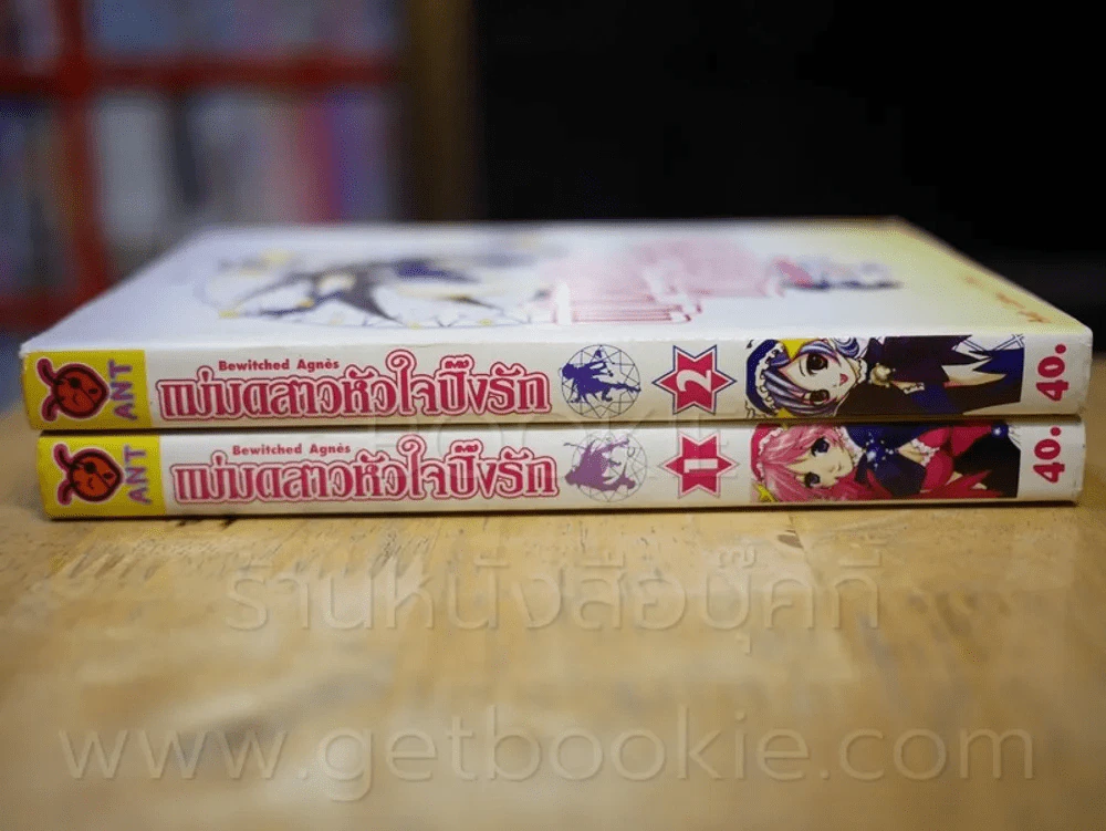 แม่มดสาวหัวใจปิ๊งรัก เล่ม 1-2 รูปที่ 2
