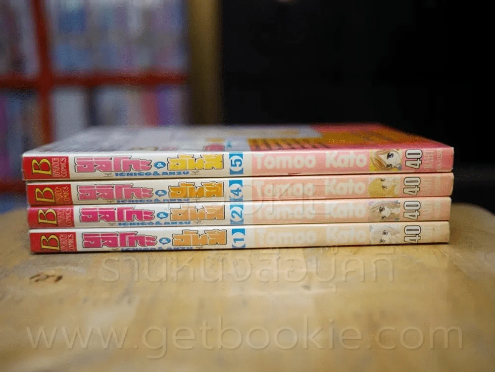 อิจิโกะ & อันสึ 5 เล่มจบ (ขาดเล่ม 3) รูปที่ 2