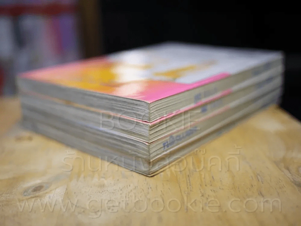 อิจิโกะ & อันสึ 5 เล่มจบ (ขาดเล่ม 3) รูปที่ 4