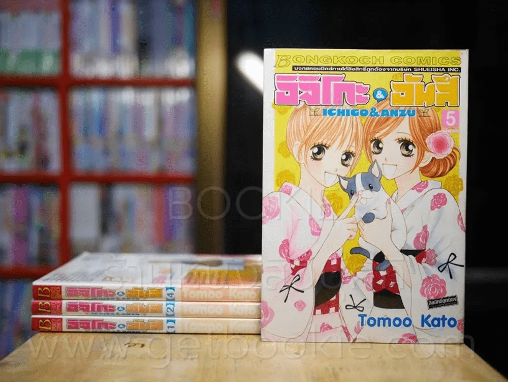 อิจิโกะ & อันสึ 5 เล่มจบ (ขาดเล่ม 3) รูปที่ 1