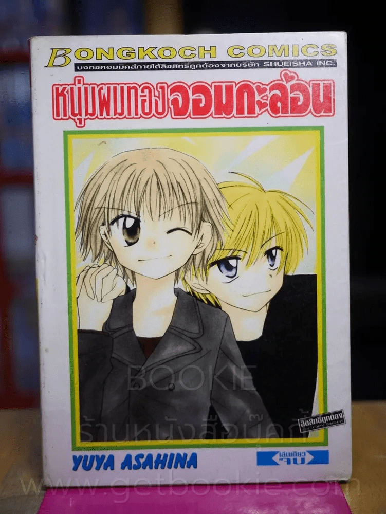 หนุ่มผมทองจอมกะล่อน รูปที่ 1