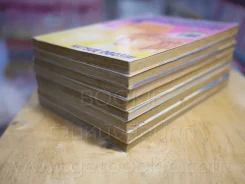 รักสุดขั้วชัวร์สุดขีด 8 เล่มจบ รูปที่ 4