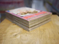 เจ้าชายน้อยต่างภพ 4 เล่มจบ รูปที่ 5