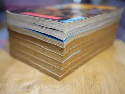 Breakdown ปรากฏการณ์ล้างโลก 8 เล่มจบ (ผู้เขียนต้องรอด) รูปที่ 4