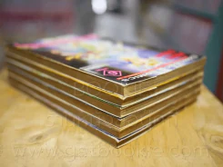 ข้ามภพเพื่อพบรัก Ain.Raga 6 เล่มจบ รูปที่ 5