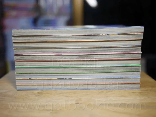 First Love 10 เล่มจบ รูปที่ 3