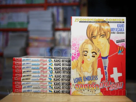Love Endless องศารักเกินร้อย 10 เล่มจบ (สภาพดีมาก) รูปที่ 1