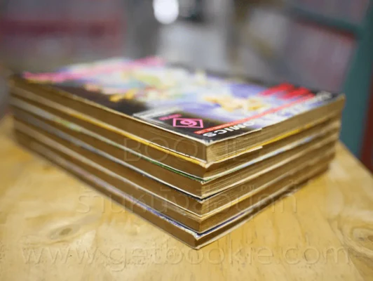 ข้ามภพเพื่อพบรัก Ain.Raga 6 เล่มจบ รูปที่ 5