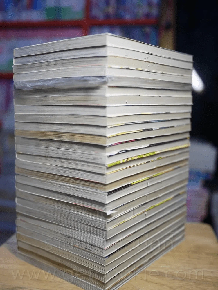 ตะวันรักที่ปลายฟ้า 28 เล่มจบ รูปที่ 4
