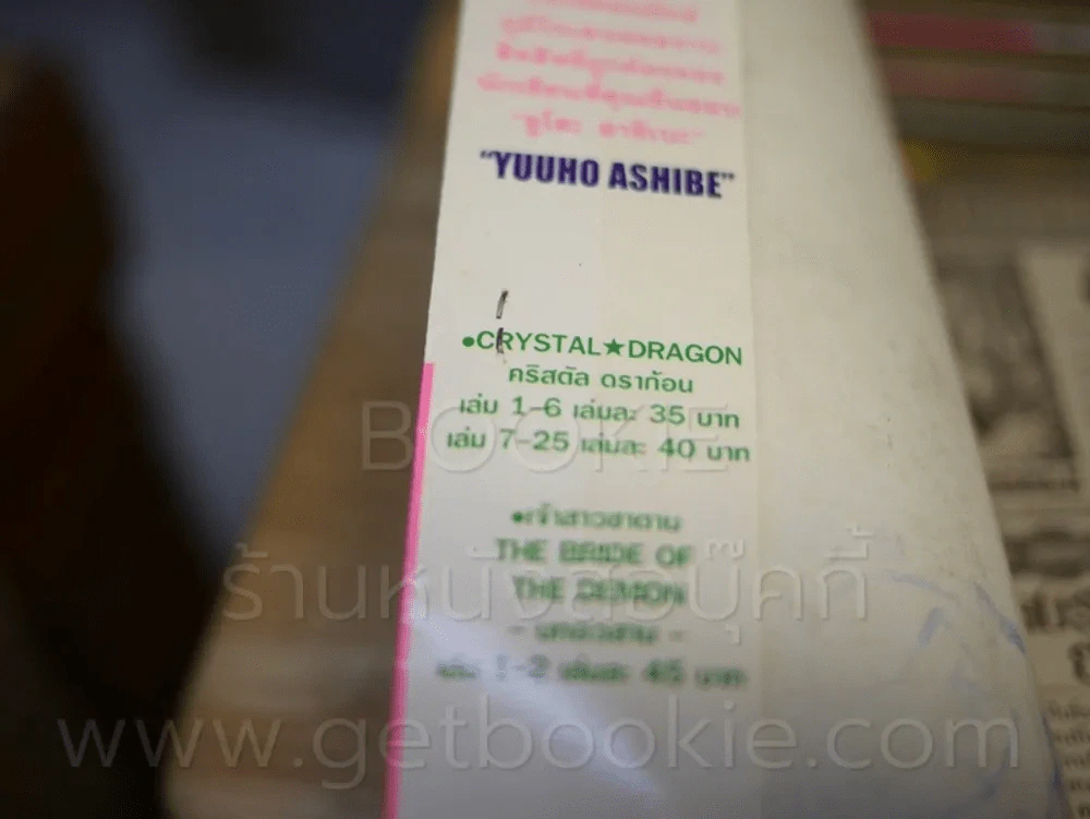 เจ้าสาวซาตาน 17 เล่มจบ รูปที่ 6