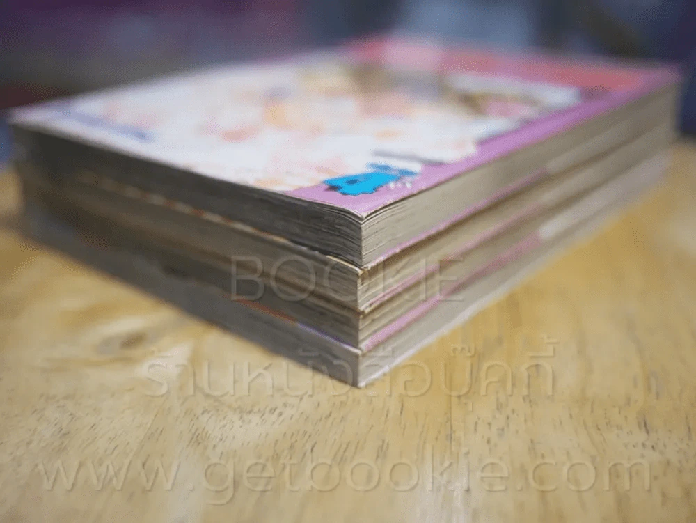 เจ้าชายน้อยต่างภพ 4 เล่มจบ รูปที่ 4