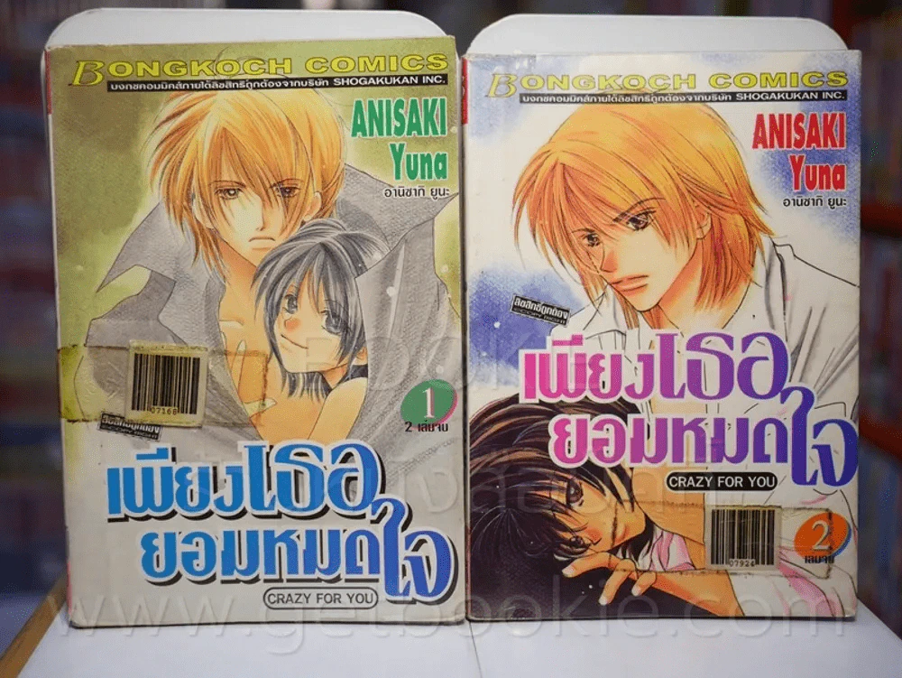 เพียงเธอยอมหมดใจ 2 เล่มจบ รูปที่ 1