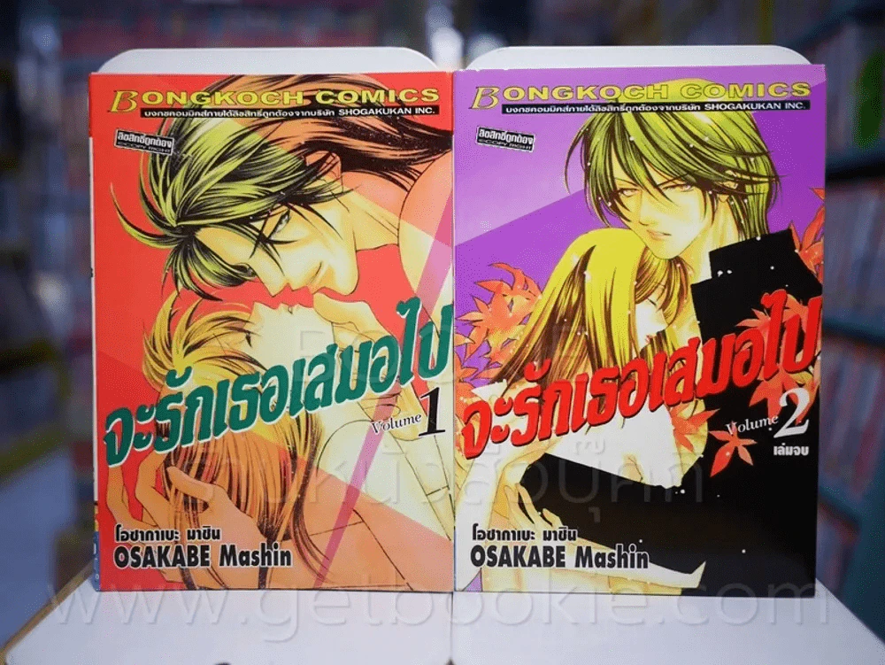 จะรักเธอเสมอไป 2 เล่มจบ (สภาพดีมาก) รูปที่ 1