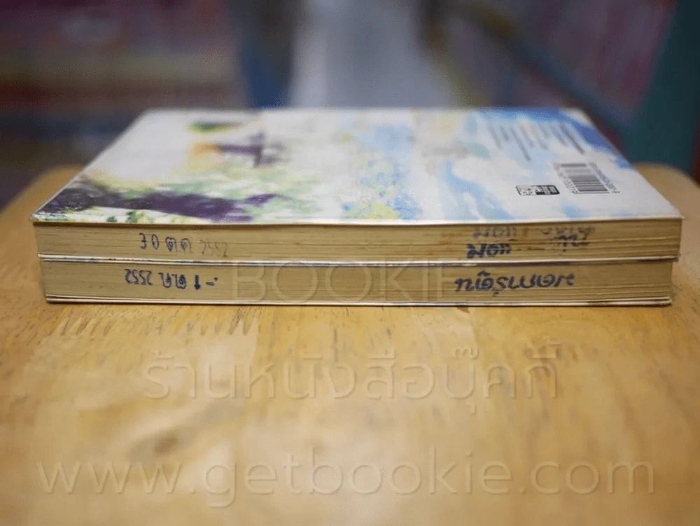 Tom Sawyer ทอม ซอว์เยอร์ 2 เล่มจบ รูปที่ 3