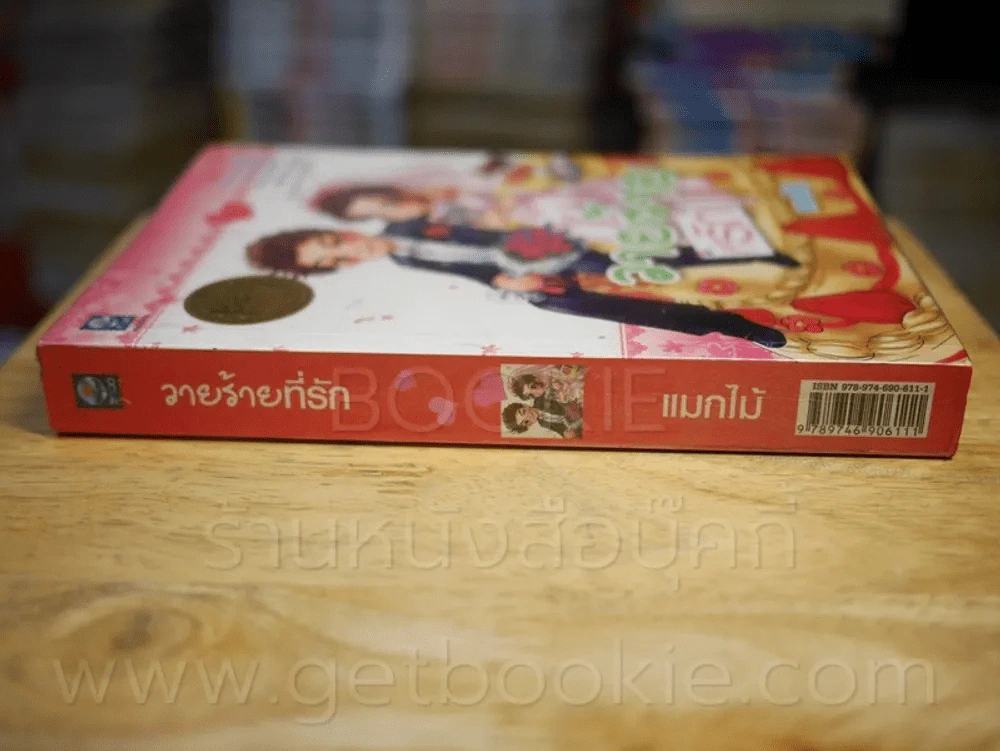 วายร้ายที่รัก - แมกไม้ รูปที่ 2