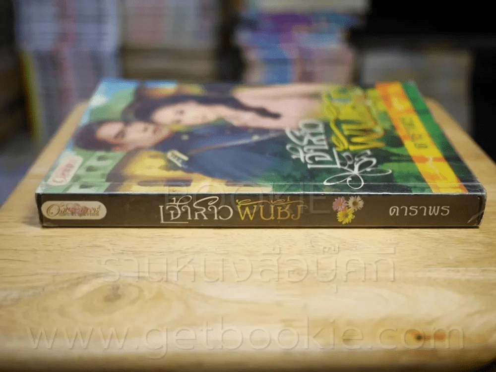เจ้าสาวพันชั่ง - ดาราพร รูปที่ 2