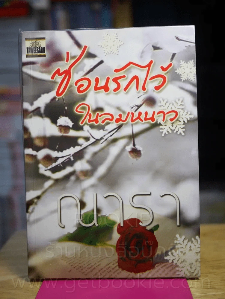ซ่อนรักไว้ในลมหนาว - ณารา รูปที่ 1