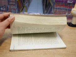 คำสารภาพสุดท้ายของ นักโทษประหาร (สภาพบวมน้ำ) รูปที่ 6