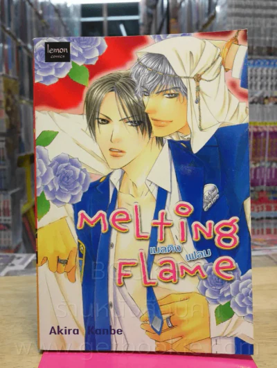Melting Flame รูปที่ 1