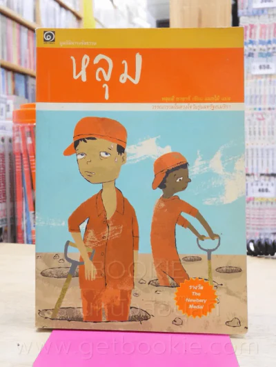หลุม รูปที่ 1