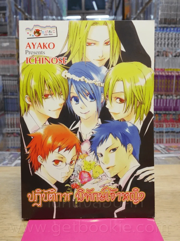 ปฏิบัติการพิทักษ์เจ้าหญิง รูปที่ 1