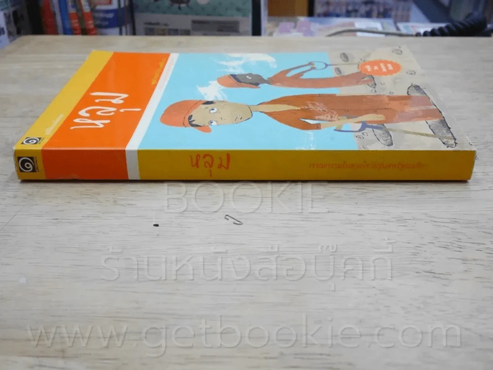 หลุม รูปที่ 2