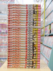 ตะวันรักที่ปลายฟ้า 28 เล่มจบ (ขาดเล่ม 6) รูปที่ 2