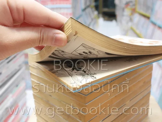 ตะวันรักที่ปลายฟ้า 28 เล่มจบ (ขาดเล่ม 6) รูปที่ 6
