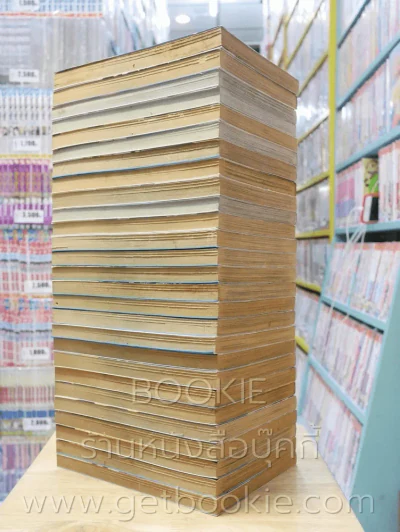 ตะวันรักที่ปลายฟ้า 28 เล่มจบ (ขาดเล่ม 6) รูปที่ 3