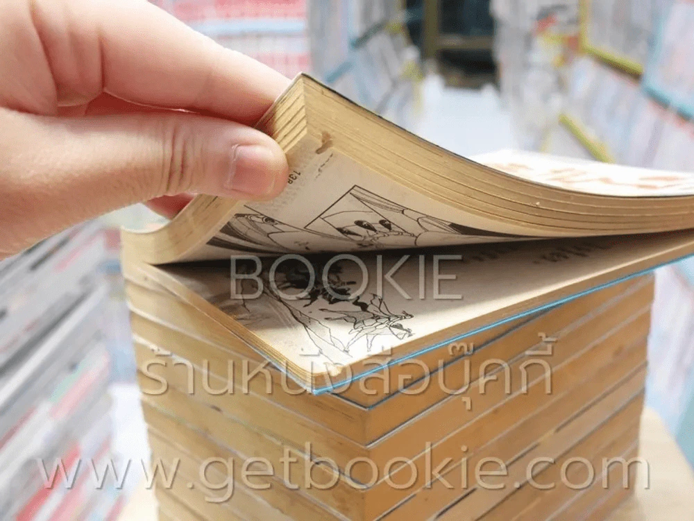 ตะวันรักที่ปลายฟ้า 28 เล่มจบ (ขาดเล่ม 6) รูปที่ 6