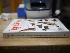 สุนัข คู่มือแนะนำสุนัขพันธุ์ต่างๆมากกว่า 300 พันธุ์จากทั่วโลก รูปที่ 2
