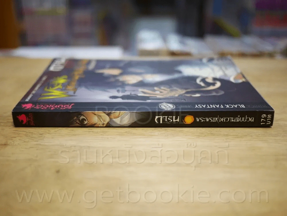 การิน ปริศนาคดีอาถรรพ์ พระพรแห่งความเจ็บปวด รูปที่ 2