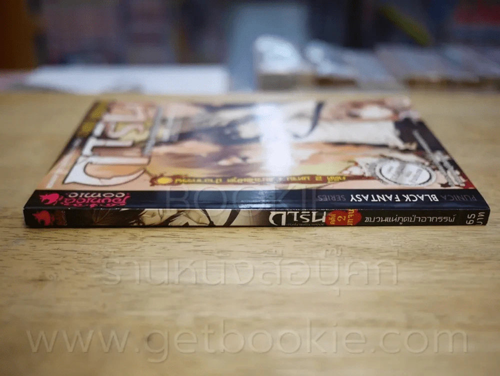 การิน ปริศนาคดีอาถรรพ์ คดีที่ 2 บทจบ ขบวนแห่ภูตป่าอาถรรพ์ (การ์ตูน) รูปที่ 2
