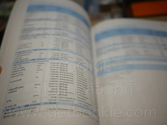 Fact Book 1996 ตลาดหลักทรัพย์แห่งประเทศไทย รูปที่ 4