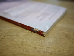 เมียนอกสัญญา - นิดานุช (สันปกมีรอยแหว่งตามภาพ) รูปที่ 3