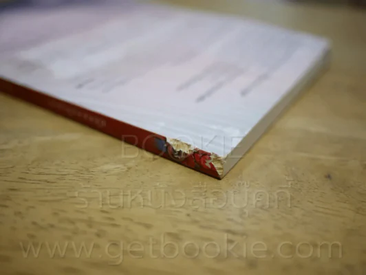 เมียนอกสัญญา - นิดานุช (สันปกมีรอยแหว่งตามภาพ) รูปที่ 3