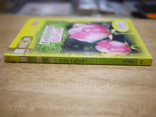 ซาตานขังรัก - บัวริน รูปที่ 2