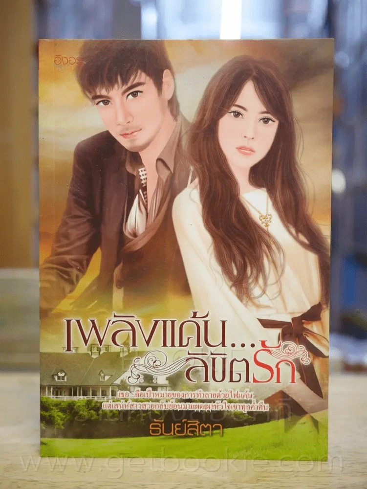 เพลิงแค้น ลิขิตรัก - ธันย์สิตา รูปที่ 1