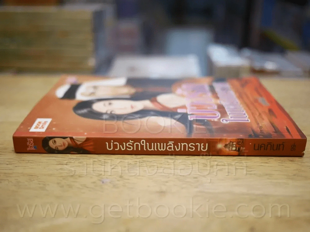 บ่วงรักในเพลิงทราย - นคภินท์ รูปที่ 2